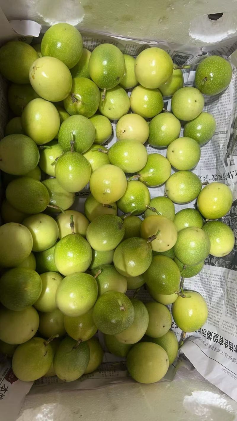 广西南宁百香果电商货大量批发