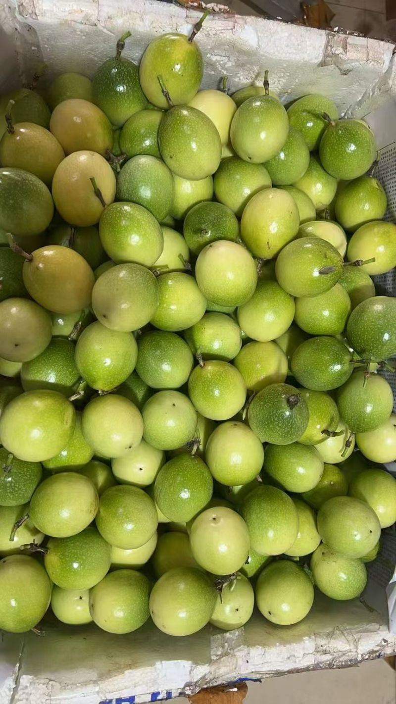 广西南宁百香果电商货大量批发