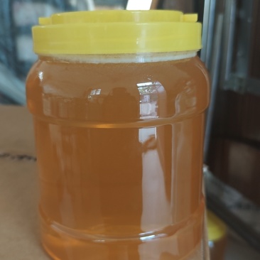 中条山成熟荆条原蜜
