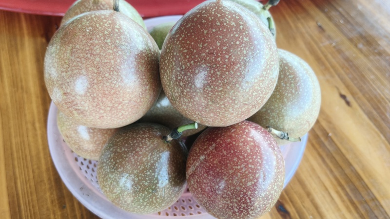 耐皱皮，甜度高，农科院研发的新品种
