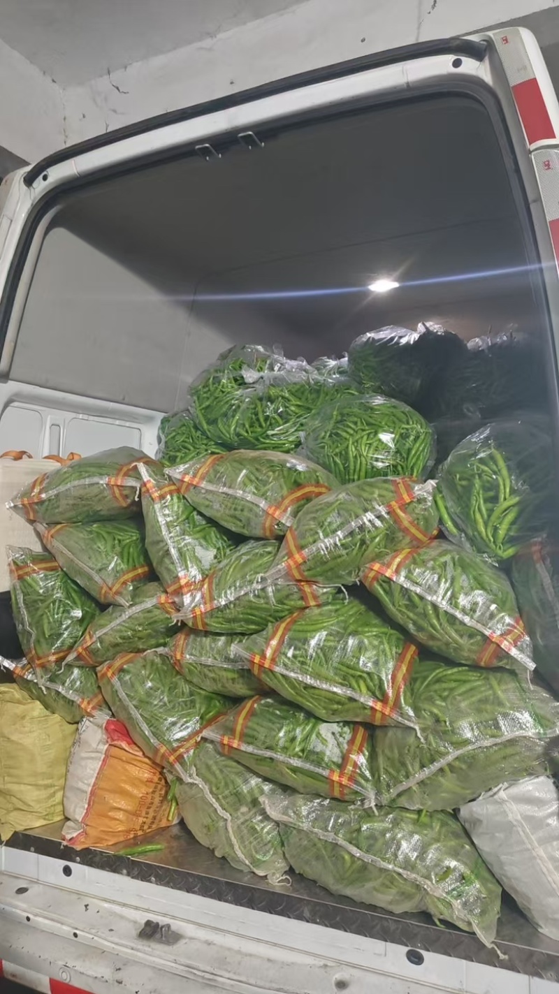 精品杭椒大量有货产地一手货源
