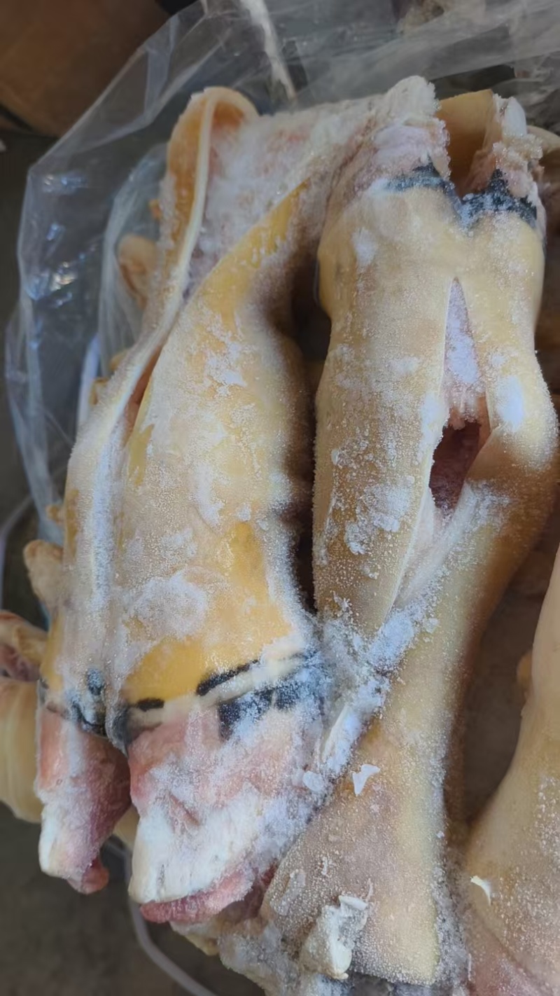 半去骨牛蹄