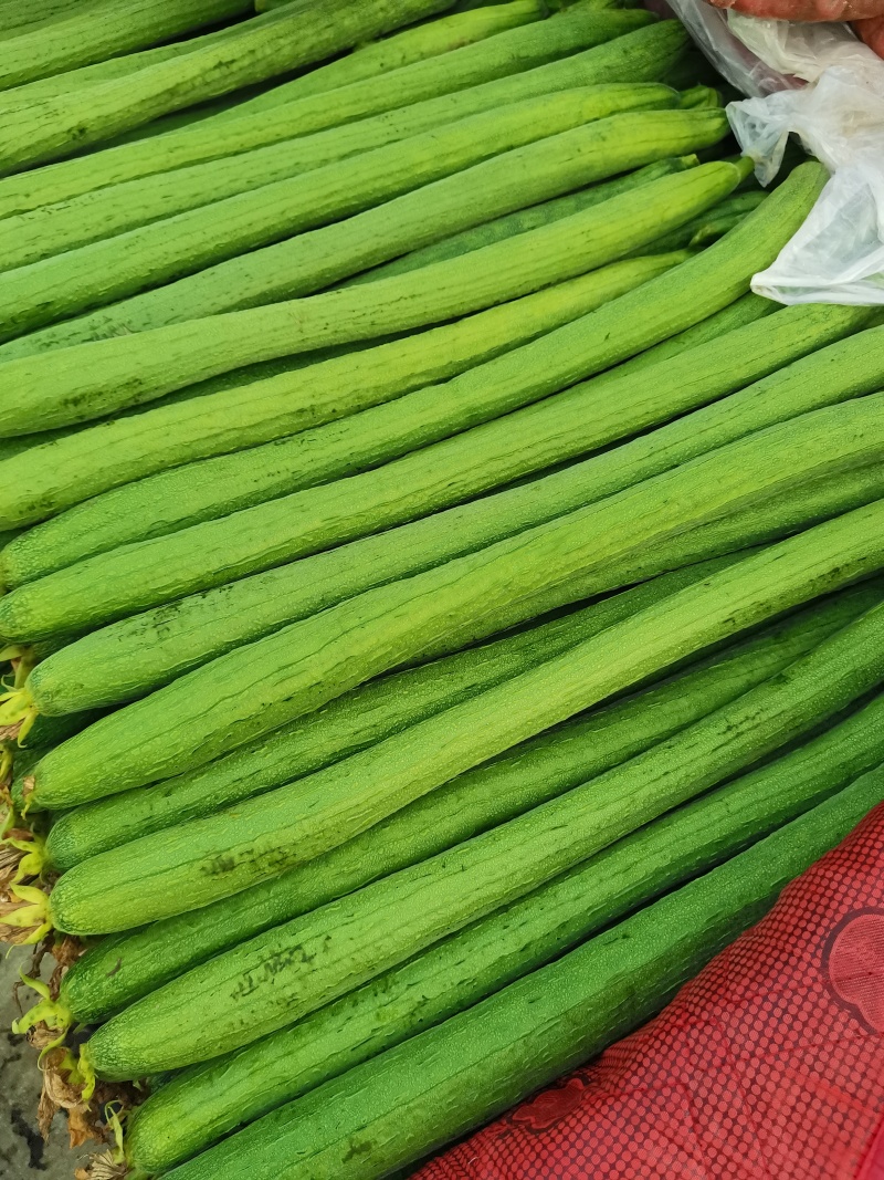 丝瓜