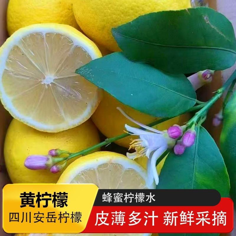 安岳柠檬新果产地果园直供一手货源，诚信经营量大从优