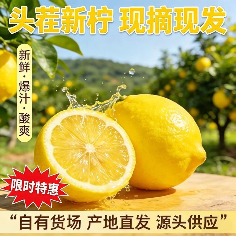 安岳柠檬新果产地果园直供一手货源，诚信经营量大从优