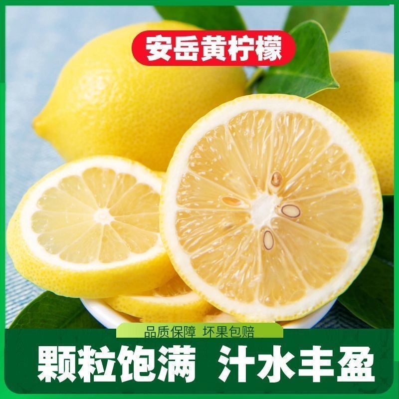 安岳柠檬新果产地果园直供一手货源，诚信经营量大从优