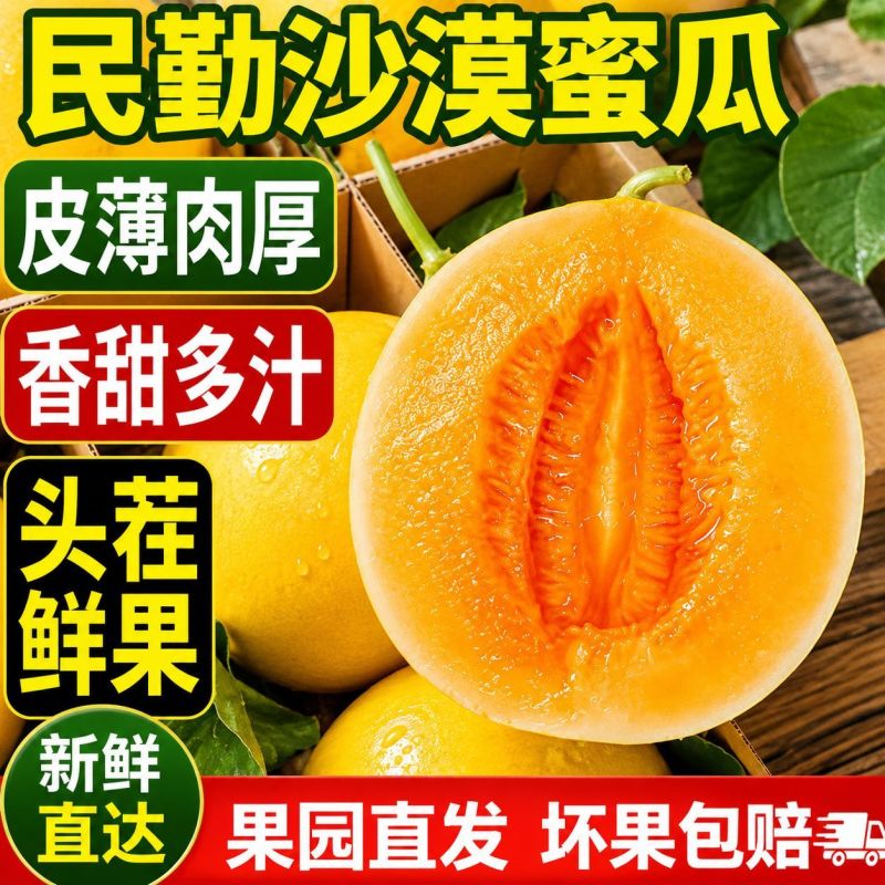 甘肃民勤沙漠蜜瓜脆甜黄河蜜瓜黄皮甜瓜应季新鲜孕妇