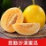 甘肃民勤沙漠蜜瓜脆甜黄河蜜瓜黄皮甜瓜应季新鲜孕妇