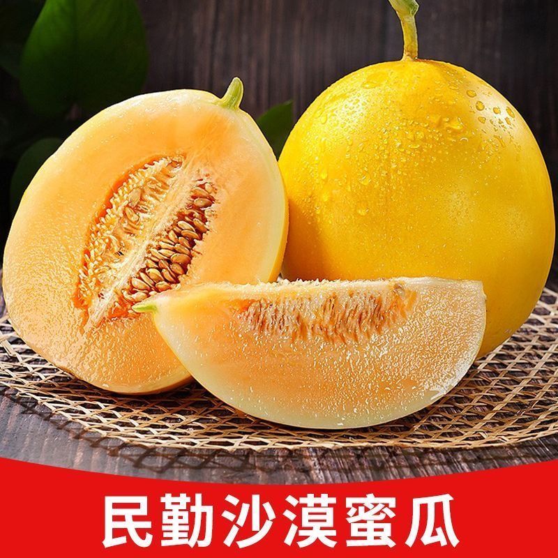甘肃民勤沙漠蜜瓜脆甜黄河蜜瓜黄皮甜瓜应季新鲜孕妇