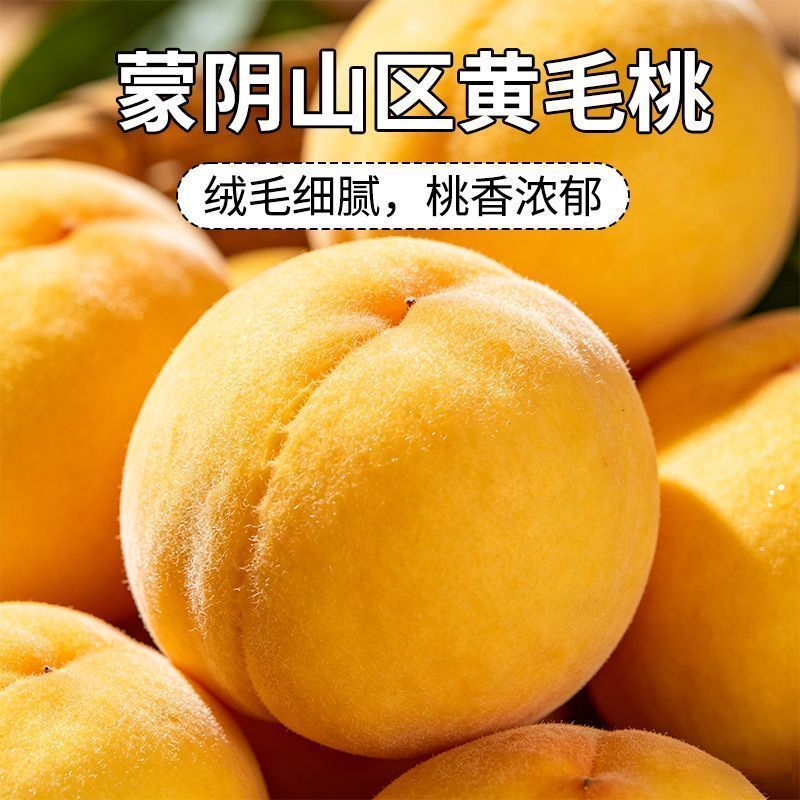 正宗山东蒙阴黄心毛桃新鲜纯甜水果黄毛桃黄金毛桃【现摘现发