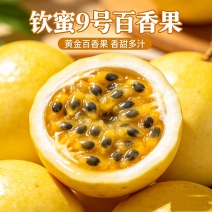 一件代发电商出口主播达人抖音淘宝有对接钦蜜9号