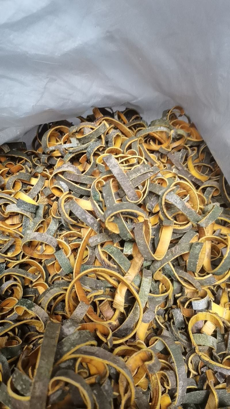 黄柏带皮丝