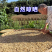 正品四川麦冬养生中药材正宗野生天然绵阳麦冬泡水煲汤无硫