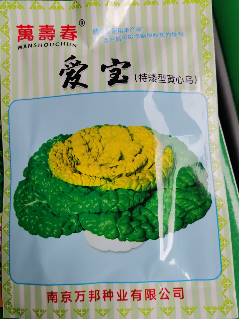 万邦冬美爱宝特矮型乌塌白菜种子口感好丰产