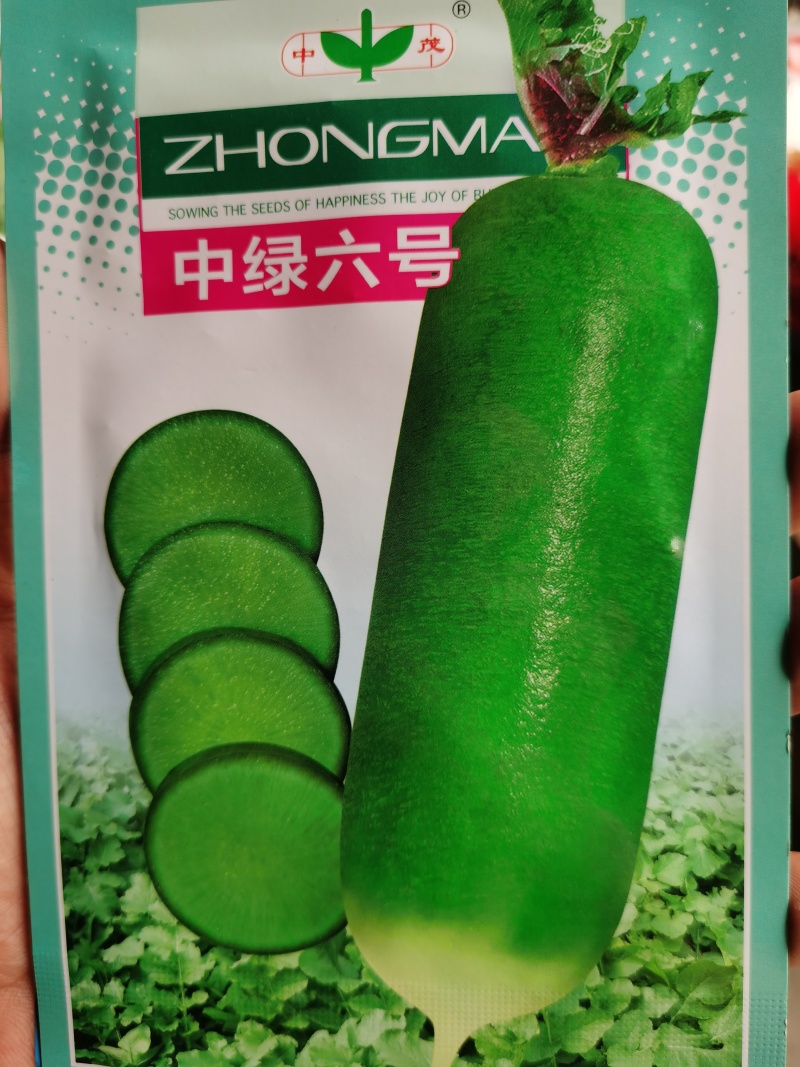 强悍水果萝卜水果萝卜种子商品性好丰产品质萝卜