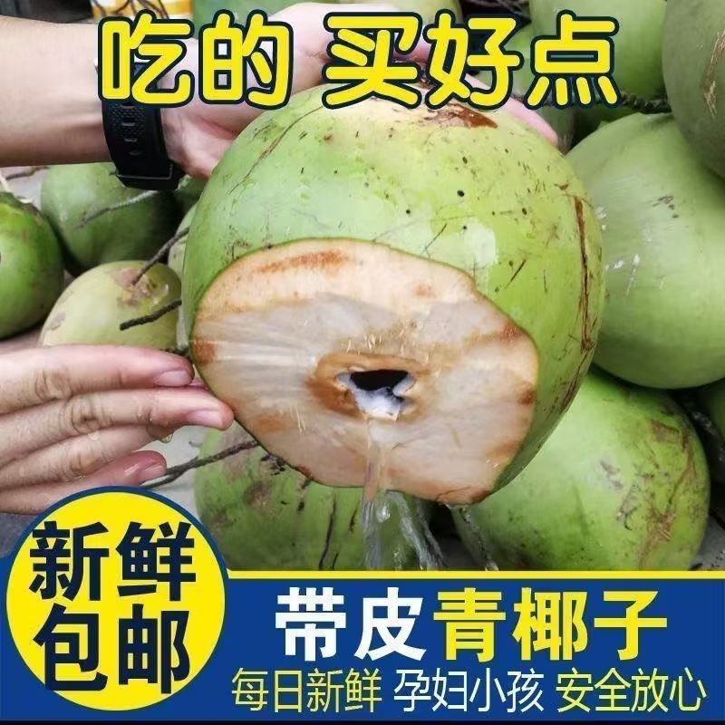 海南万宁现摘青椰子新鲜椰青小果精品中果产地直发