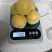 帝王大黄杏盆栽