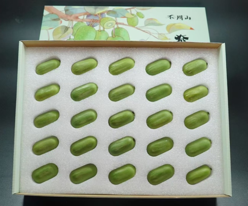 软枣猕猴桃