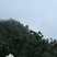 仙居杨梅高山杨梅