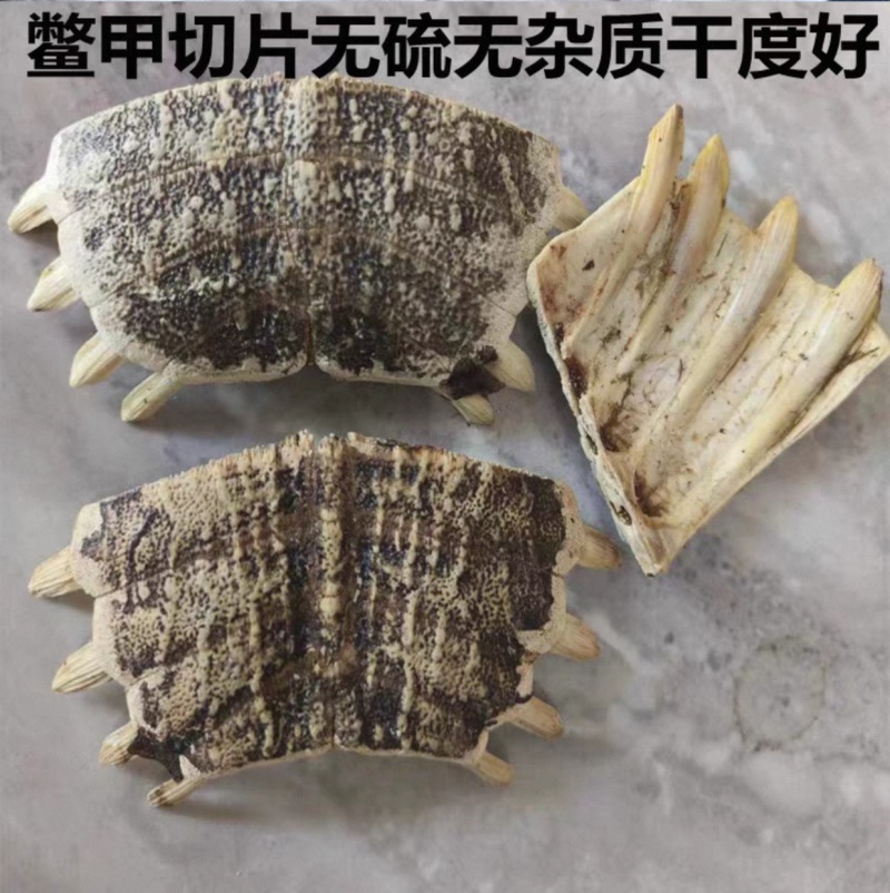 鳖甲壳