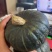 贝贝南瓜大量上市，货源充足，质量保证，代办一切手续