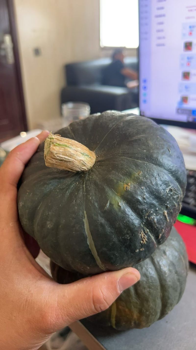 贝贝南瓜大量上市，货源充足，质量保证，代办一切手续