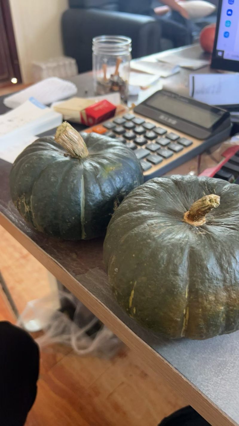 贝贝南瓜大量上市，货源充足，质量保证，代办一切手续