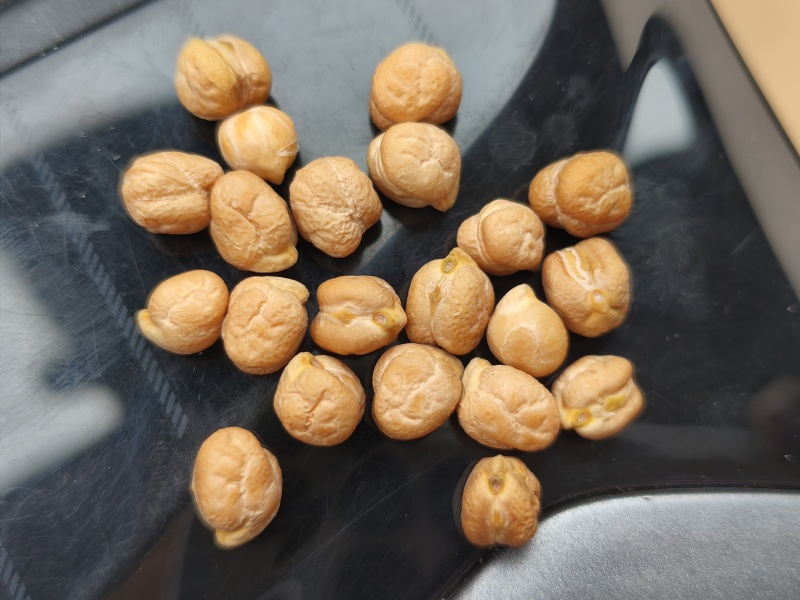 中国鹰嘴豆之乡（新疆昌吉木垒）