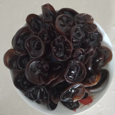 黑木耳