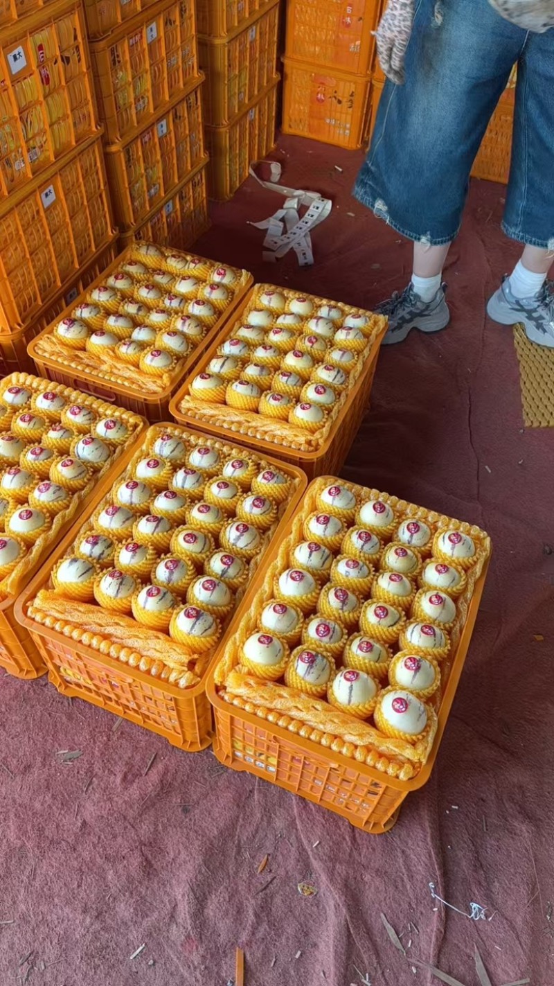 云南石林人参果