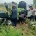 河南省确山县瓦岗丘陵地西瓜
