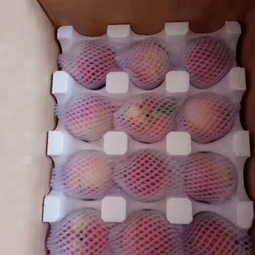 金鱼桃北京8号水蜜桃香里透甜