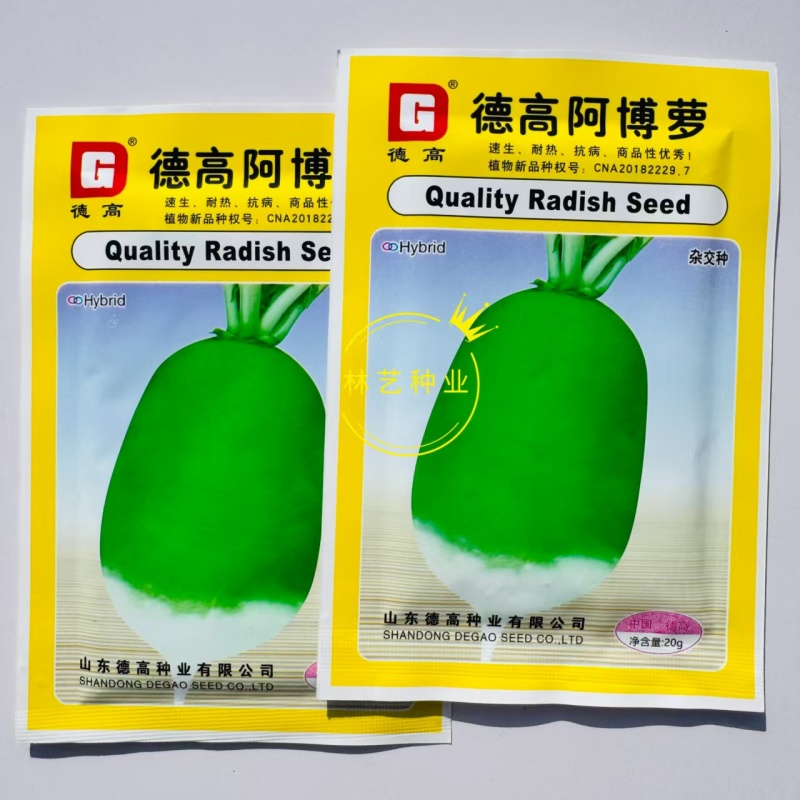德高阿博萝青萝卜种子生吃脆甜耐热抗病高产可腌制青皮绿萝卜