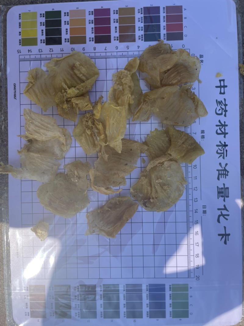 鸡内金
