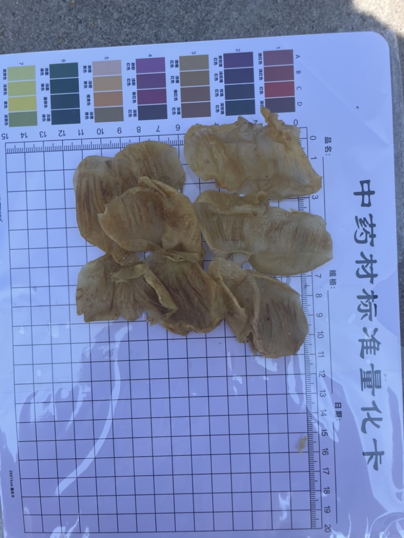 鸡内金