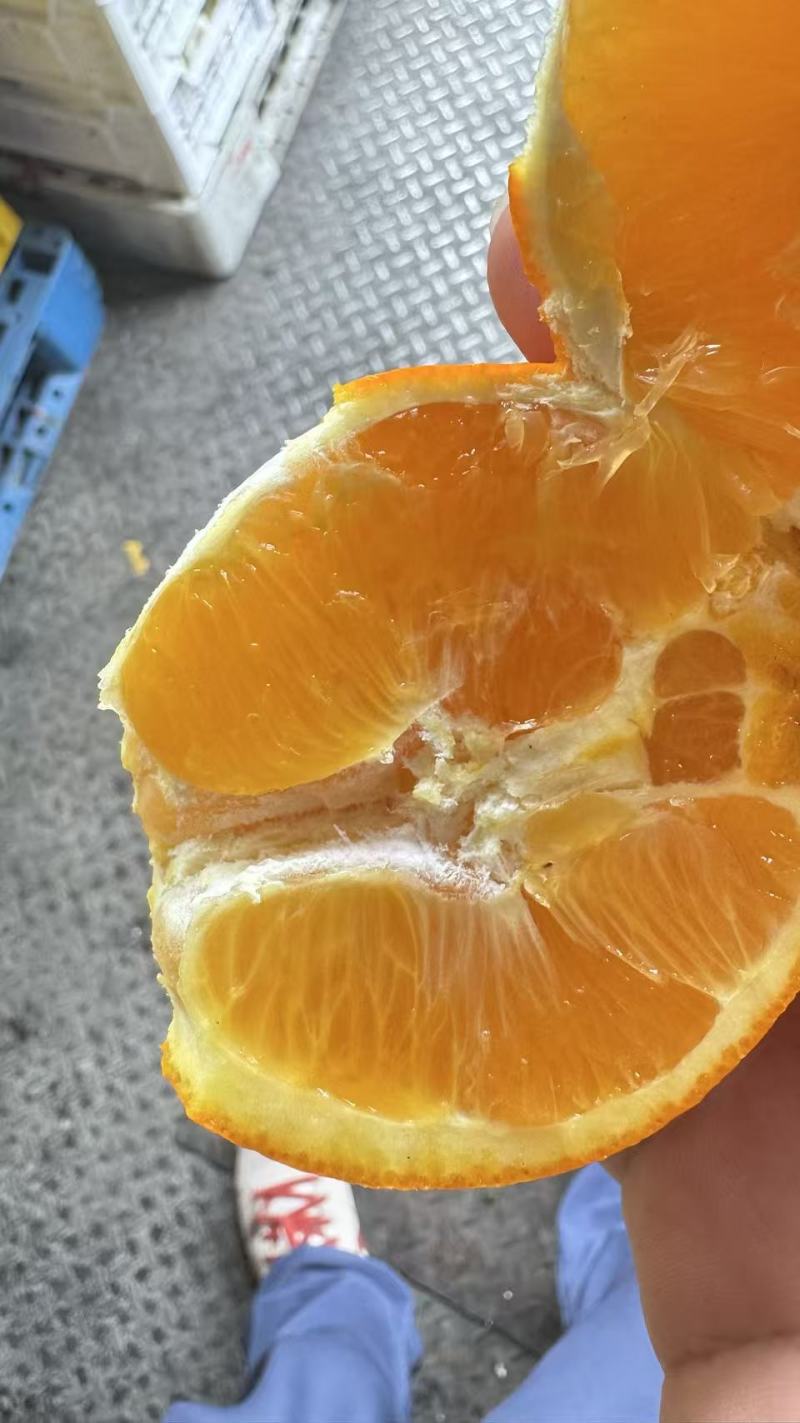 精品蜂蜜橙皮薄肉厚大量供货嘉兴有现货