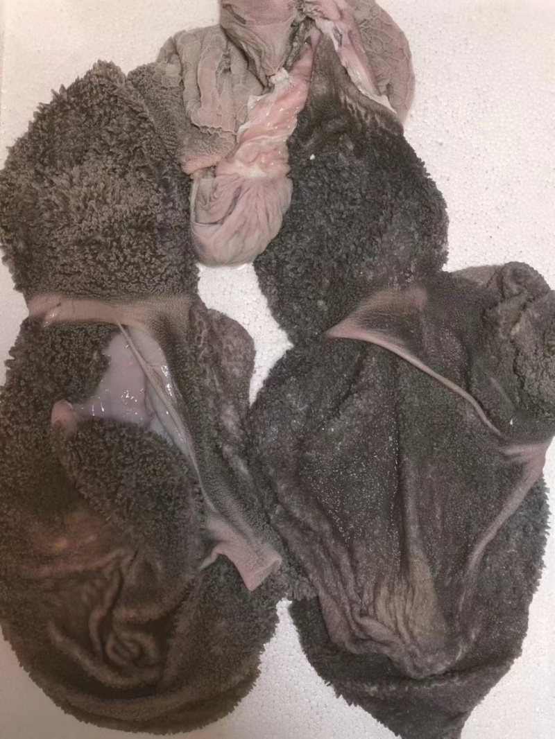 免洗羊毛肚