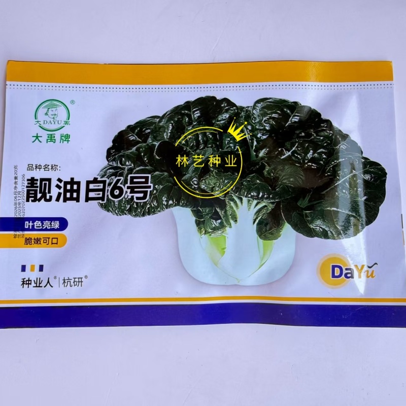 靓油白6号青菜种子亮绿皱叶油嫩脆甜庭院盆栽白梗小油菜蔬菜
