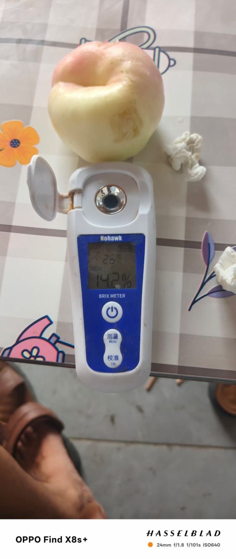 陆地油蟠八已大量上市，有需要的老板给我联系，产地一手货源