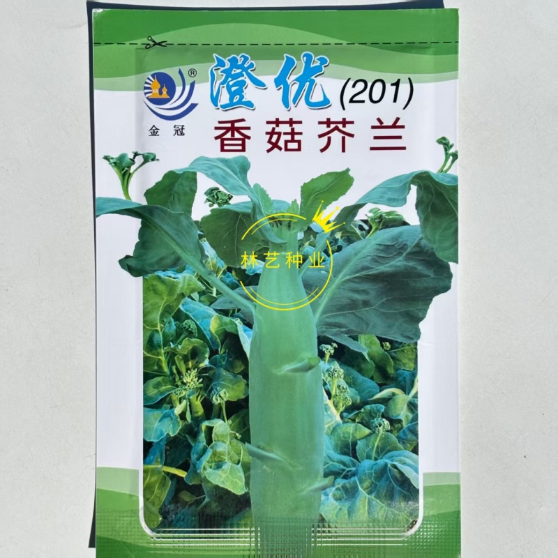澄优香菇芥蓝种子苗粗大芯芥兰种籽孑四季秋季蔬菜秧苗高产菜