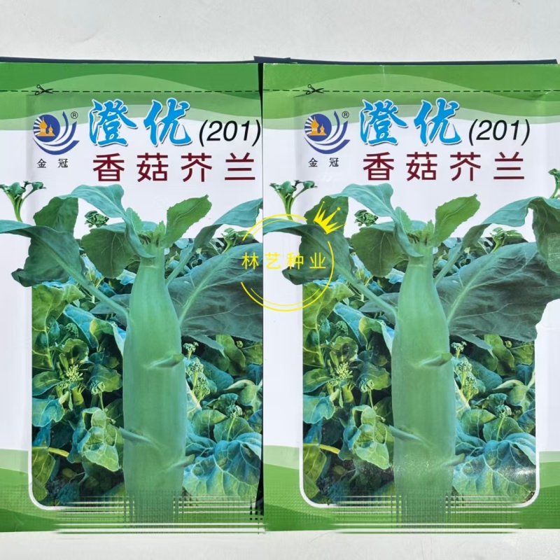 澄优香菇芥蓝种子苗粗大芯芥兰种籽孑四季秋季蔬菜秧苗高产菜