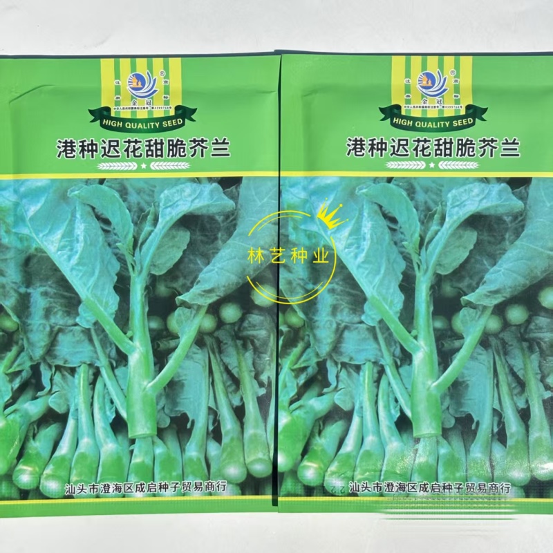 港种迟花甜脆芥兰种子大笋迟花芥蓝澄海粗条甜芥兰菜耐寒