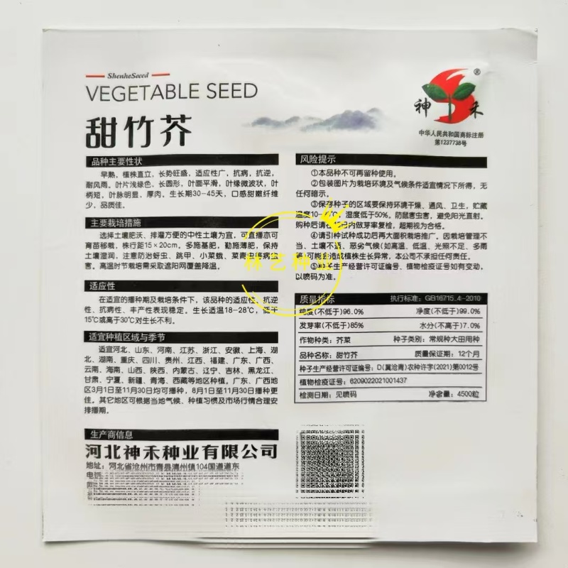 甜竹芥菜种子早熟抗病耐雨水芥种籽厚肉口感甜嫩春夏秋季