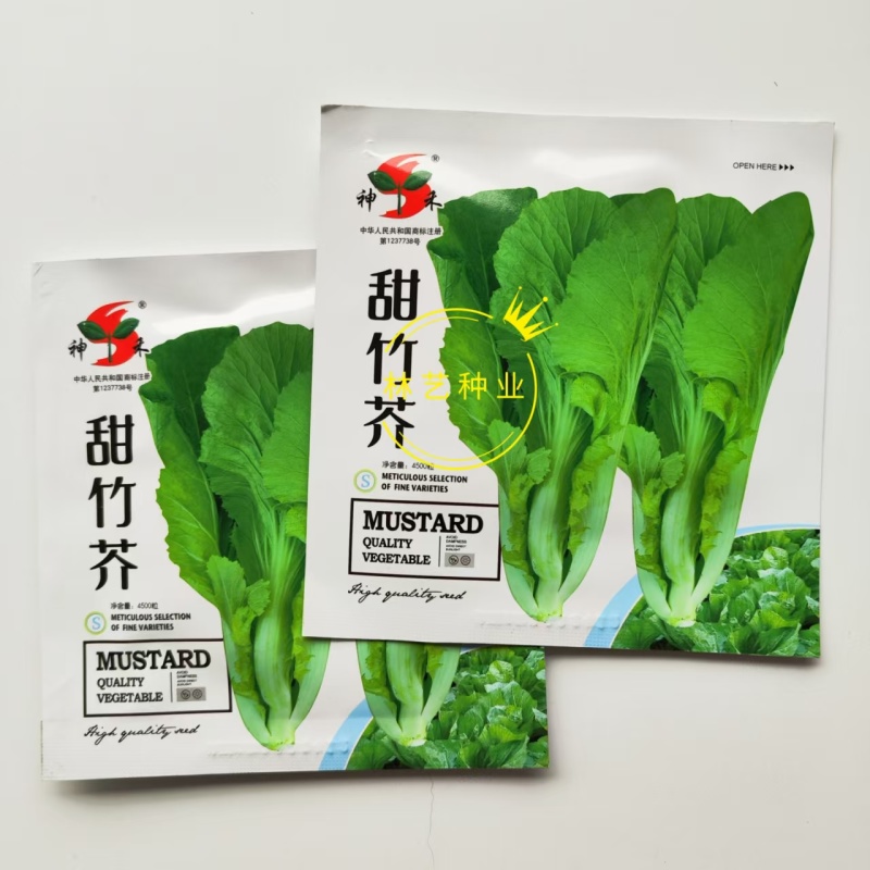 甜竹芥菜种子早熟抗病耐雨水芥种籽厚肉口感甜嫩春夏秋季