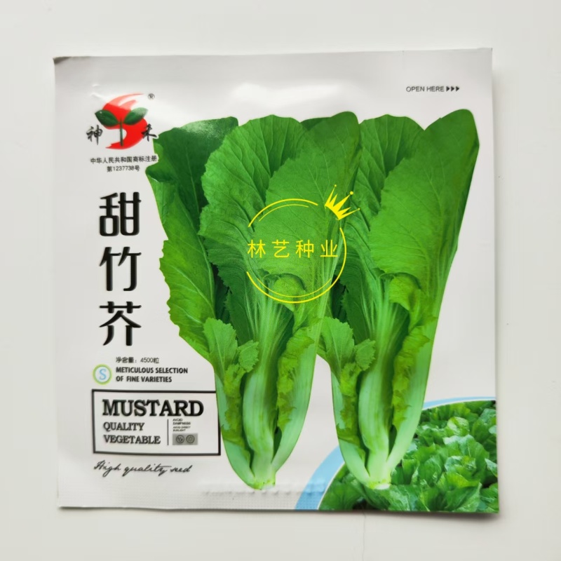 甜竹芥菜种子早熟抗病耐雨水芥种籽厚肉口感甜嫩春夏秋季