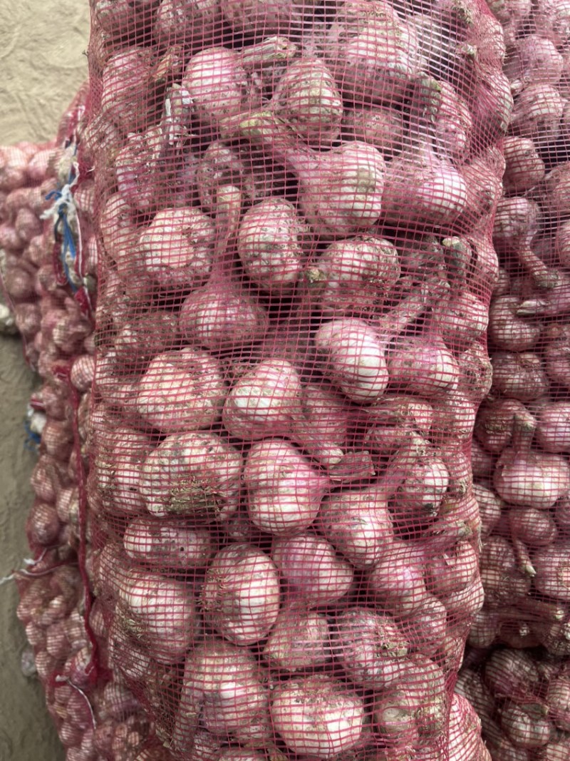 大蒜，鲜蒜，