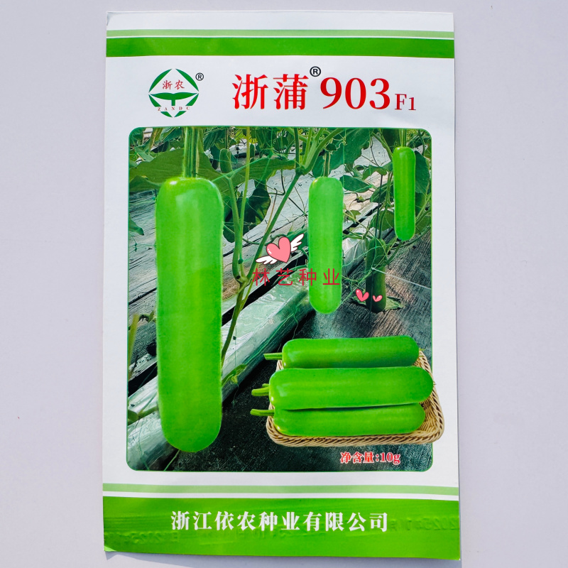 浙蒲903蒲瓜种子杂交早熟耐低温中棒型蒲瓜种子春秋抗病高
