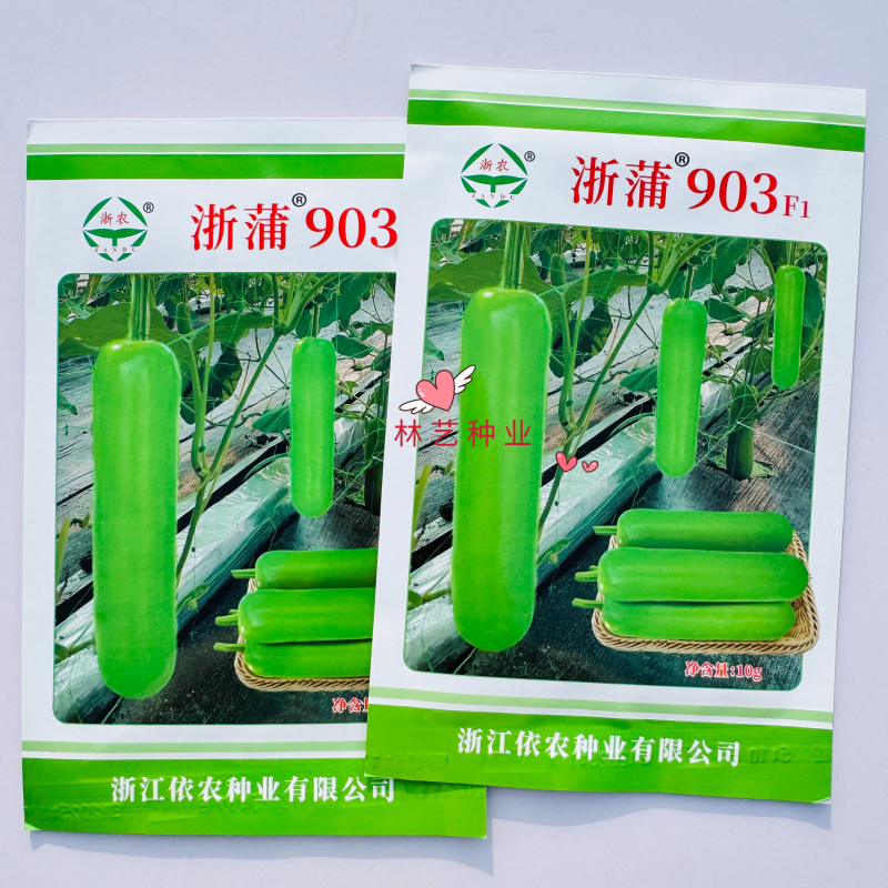 浙蒲903蒲瓜种子杂交早熟耐低温中棒型蒲瓜种子春秋抗病高