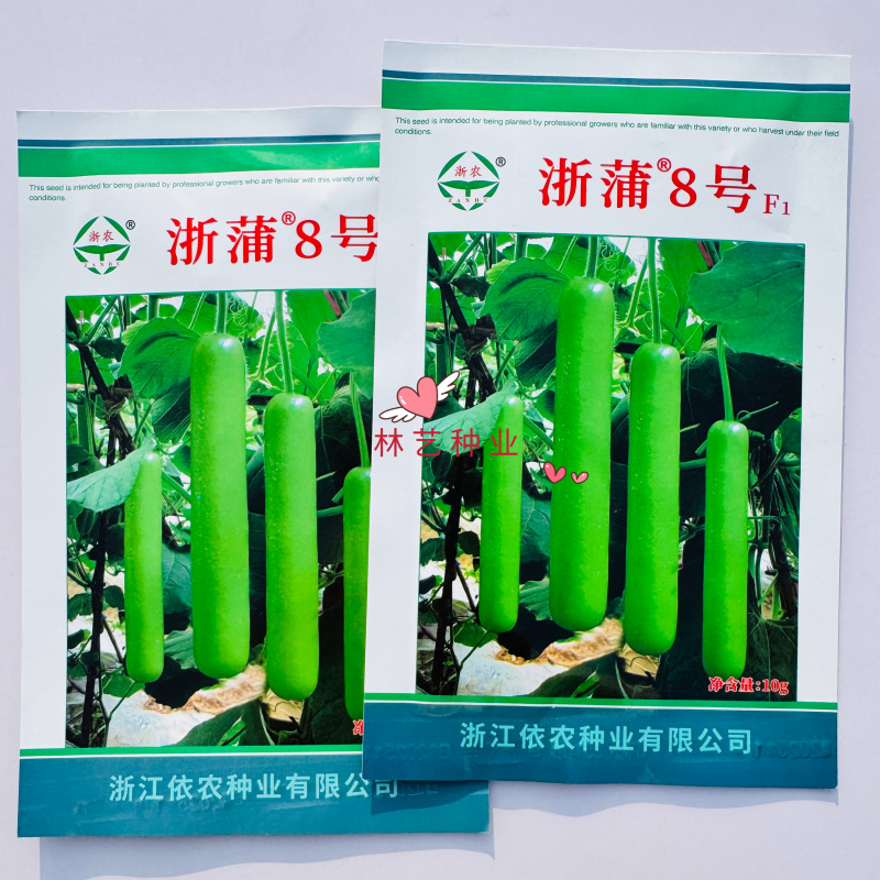 浙蒲8号早中熟蒲瓜种子长瓜种子瓠瓜种子耐热高产品质佳基地