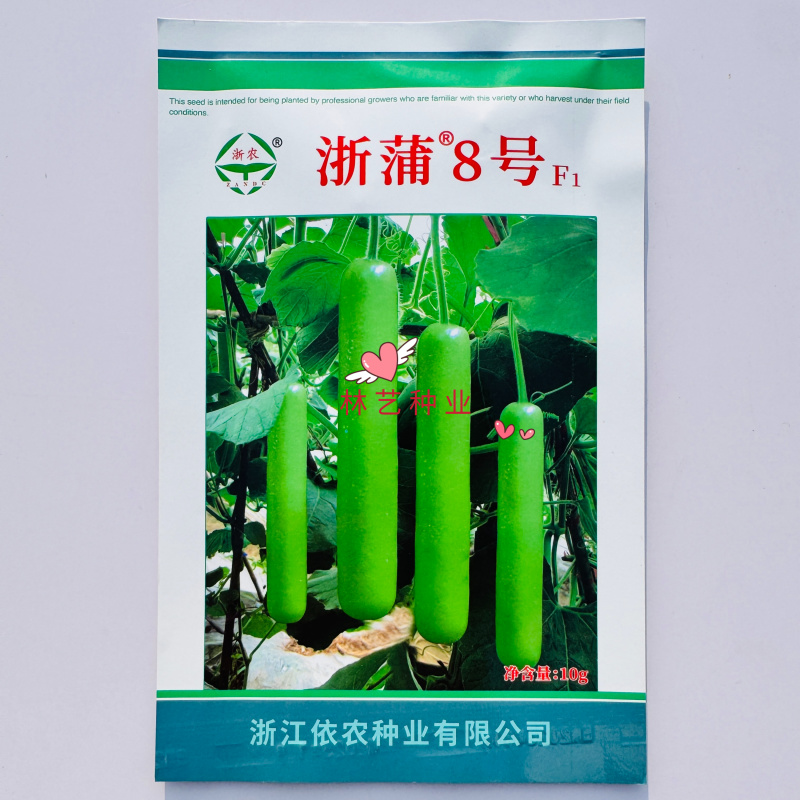浙蒲8号早中熟蒲瓜种子长瓜种子瓠瓜种子耐热高产品质佳基地